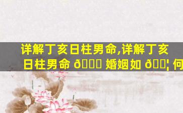 详解丁亥日柱男命,详解丁亥日柱男命 🐕 婚姻如 🐦 何